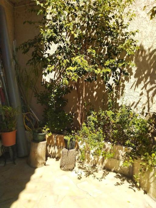 Studio Ideal Pour Deux Voyageurs Sur Marseille Eksteriør billede
