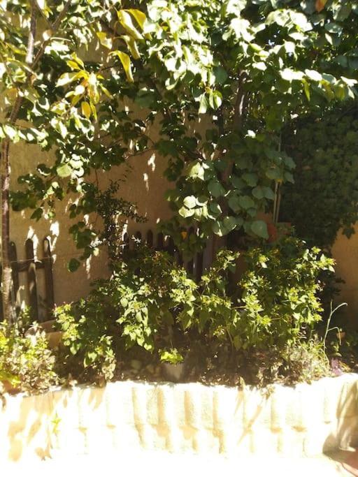 Studio Ideal Pour Deux Voyageurs Sur Marseille Eksteriør billede