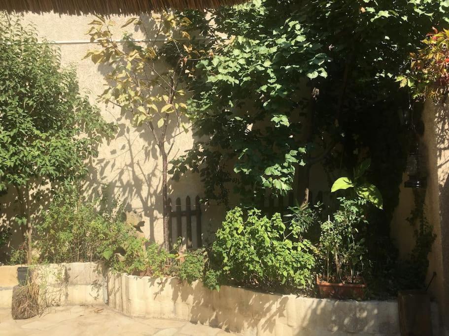 Studio Ideal Pour Deux Voyageurs Sur Marseille Eksteriør billede